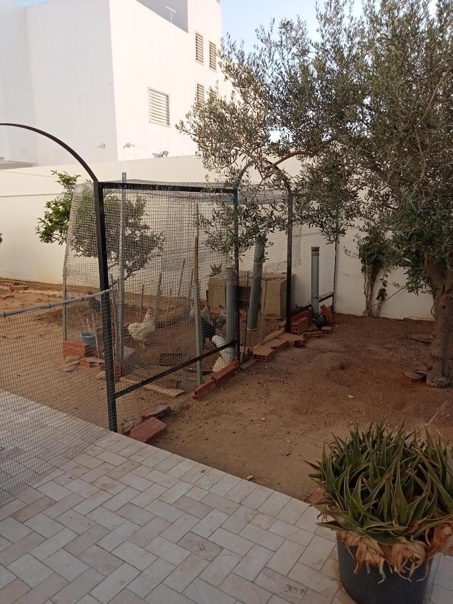 Chez Mme Jaouida Bed & Breakfast Kayravan Dış mekan fotoğraf